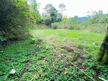 En Venta – Excelente Terreno en Mindo