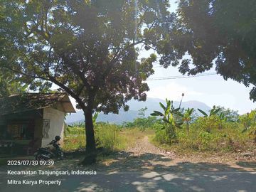 Tanah 5ha Jln Raya Transyogi - Tanjung sari Bogor