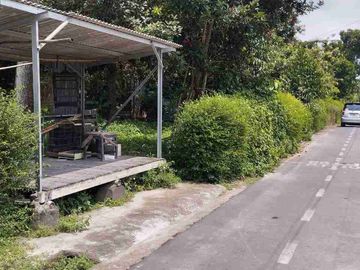 tanah murah banyak pohon berbuah dan sumber mata air cangkringan banyudono