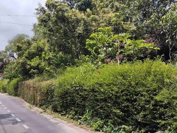 tanah murah banyak pohon berbuah dan sumber mata air cangkringan banyudono