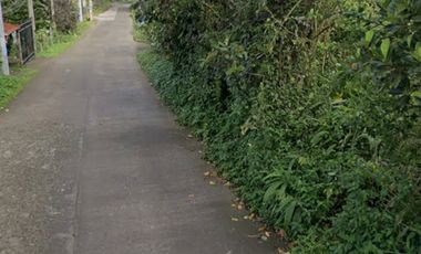 Farm Lot For Sale in Patutong Malaki North Tagaytay City-MC