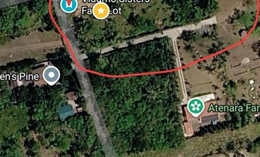 Farm Lot For Sale in Patutong Malaki North Tagaytay City-MC