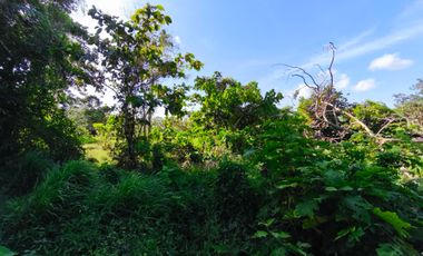 Farm Lot  For Sale in Pooc Silang Cavite-MC