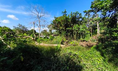 Farm Lot  For Sale in Pooc Silang Cavite-MC
