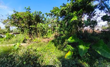 Farm Lot  For Sale in Pooc Silang Cavite-MC