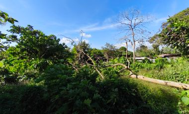Farm Lot  For Sale in Pooc Silang Cavite-MC