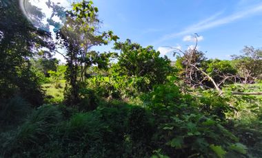 Farm Lot  For Sale in Pooc Silang Cavite-MC