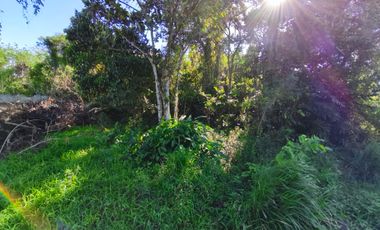 Farm Lot  For Sale in Pooc Silang Cavite-MC