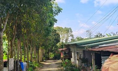 Farm Lot For Sale in Patutong Malaki North Tagaytay City-MC