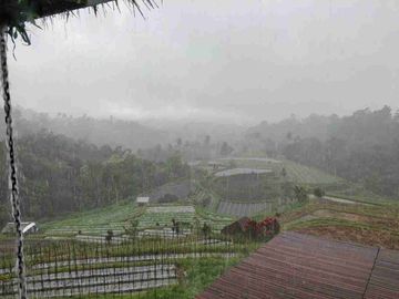 Villa View jungle river baturiti tabanan