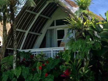 Villa View jungle river baturiti tabanan