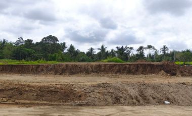House and Lot For Sale in Santol Silang Cavite (West Midland)-MC