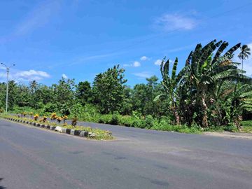 DIJUAL CEPAT TANAH STRATEGIS DAERAH Jl SOEKARNO, HARGA SANGAT MURAH