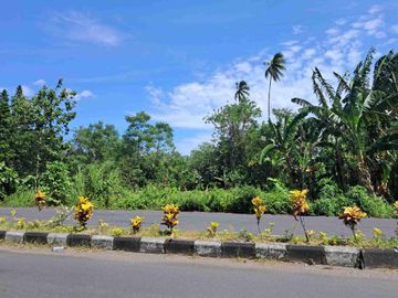 DIJUAL CEPAT TANAH STRATEGIS DAERAH Jl SOEKARNO, HARGA SANGAT MURAH