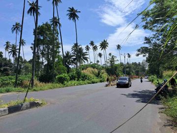 DIJUAL CEPAT TANAH STRATEGIS DAERAH Jl SOEKARNO, HARGA SANGAT MURAH