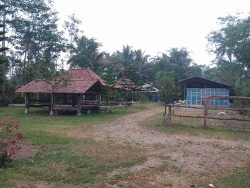 Tanah Murah View Gunung Merapi SHM Pekarangan