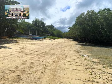 For Sale White Sand Beach next to the Main Road in Tuburan Cebu