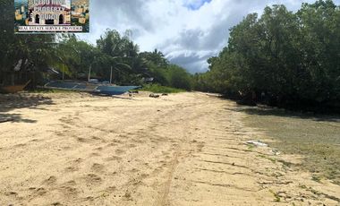 For Sale White Sand Beach next to the Main Road in Tuburan Cebu
