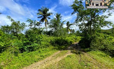 For Sale White Sand Beach next to the Main Road in Tuburan Cebu