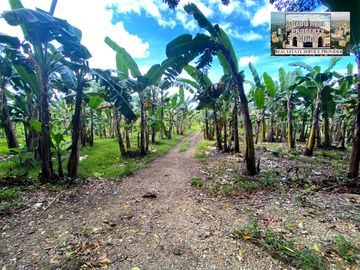 For Sale White Sand Beach next to the Main Road in Tuburan Cebu