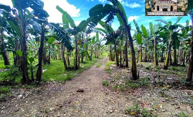 For Sale White Sand Beach next to the Main Road in Tuburan Cebu