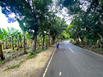 For Sale White Sand Beach next to the Main Road in Tuburan Cebu