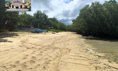 For Sale White Sand Beach next to the Main Road in Tuburan Cebu