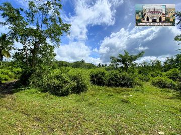 For Sale White Sand Beach next to the Main Road in Tuburan Cebu