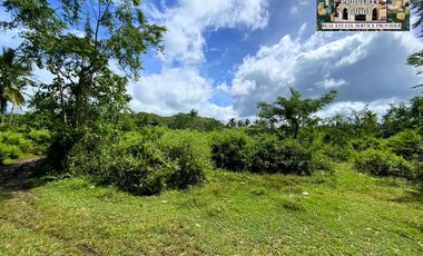 For Sale White Sand Beach next to the Main Road in Tuburan Cebu