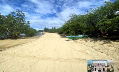 For Sale White Sand Beach next to the Main Road in Tuburan Cebu