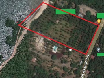 For Sale White Sand Beach next to the Main Road in Tuburan Cebu