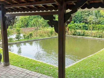 Sawah 9100 m2 Beserta kebun & kolam ikan