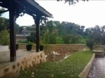 Sawah 9100 m2 Beserta kebun & kolam ikan