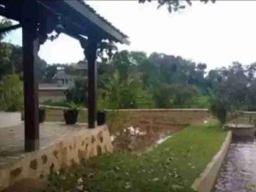 Sawah 9100 m2 Beserta kebun & kolam ikan