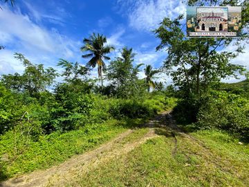 For Sale Beach Lot Along the Road in Tuburan Cebu