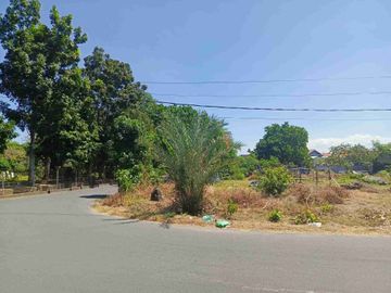 jl pulau pantai serangan denpasar  12 are tanah di jual