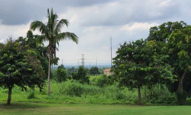 GOLF FAIRWAY LOT FOR SALE-MC