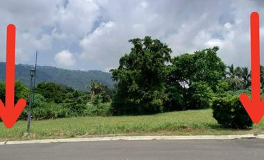 GOLF FAIRWAY LOT FOR SALE-MC