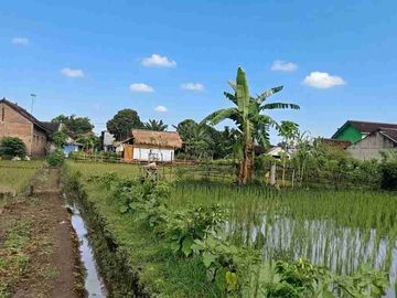 JUAL TANAH VIEW BAGUS BELAKANG MTSN 2 BENDO KOTA BLITAR