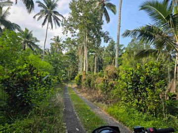 Butuh uang cepat dijual tanah datar view sawah di tabanan bali