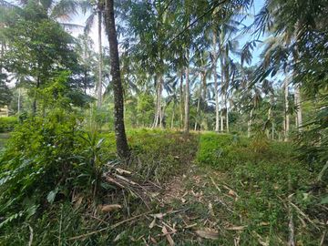 tanah kebun sangat subur dan strategis cocok untuk villa dengan view sawah terasering di area wisata selemadeg