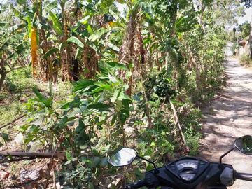 Tanah 75 Are untuk Bisnis Pariwisata di Area Kedonganan Jimbaran, jalan kaki ke Pantai