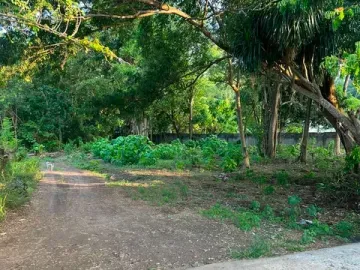 LOT FOR SALE NEAR THE BEACH ID 15131
