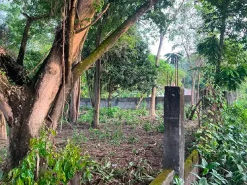 LOT FOR SALE NEAR THE BEACH ID 15131