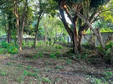 LOT FOR SALE NEAR THE BEACH ID 15131