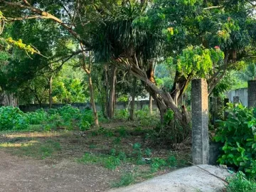 LOT FOR SALE NEAR THE BEACH ID 15131