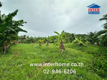 Vacant land, 297.9 square wah (approximately 1,198.6 sq m), near Wat Ton Chuek, Nonthaburi, on Kanchanaphisek Road (Highway No. 5014), Bang Yai, Nonth
