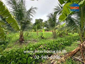 Vacant land, 297.9 square wah (approximately 1,198.6 sq m), near Wat Ton Chuek, Nonthaburi, on Kanchanaphisek Road (Highway No. 5014), Bang Yai, Nonth