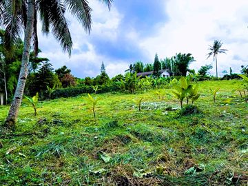 LOT FOR SALE IN CAVITE