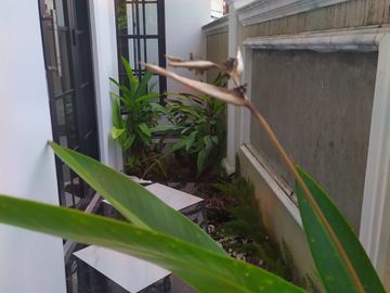 598. Dijual Rumah Mewah 2 Lantai M. Kahfi 1 Jakarta Selatan Dekat Tol Brigif Andara & TB Simatupang